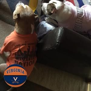 Meet your Posher, Maryanne